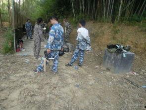 国产打野战,激情四溢的国产电竞新篇章